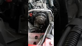 Distribuzione fiat panda 12 benzina 2011 motore 169 [upl. by Yousuf]