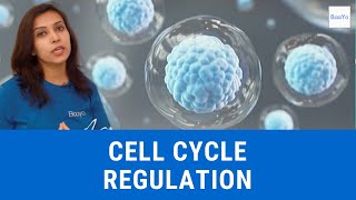 Cell Cycle Regulation  Basics Explained  Hindi [upl. by Theresita701]