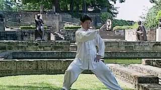 Tai Chi Lessons with Master Jian Liujun [upl. by Ajna]