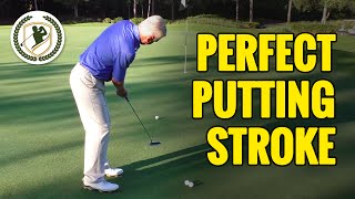 GOLF PUTTING TIPS  THE PERFECT GOLF PUTTING STROKE TECHNIQUE [upl. by Naoj]