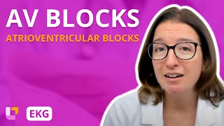 Atrioventricular Blocks AV Blocks  EKG Interpretation  LevelUpRN [upl. by Lyckman952]