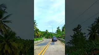 Driving in Bicol Camarines Sur Philippines [upl. by Coucher932]