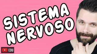 SISTEMA NERVOSO  FISIOLOGIA  Aula  Biologia com Samuel Cunha [upl. by Aridni642]