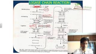 Ligase chain reaction LCR [upl. by Lemuela707]