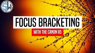 Focus Bracketing with the Canon R5  Macro Photography [upl. by Asilav]