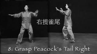 Yang Style Taichi 24 Forms for Beginners by Master Yijiao Hong [upl. by Fachanan670]