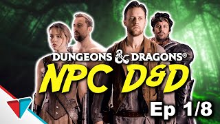 NPC DampD Episode 1 Honeywood to Baldurs Gate [upl. by Sairtemed914]