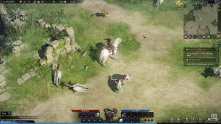 Lost Ark  PC Gameplay 1080p60fps [upl. by Shelton]