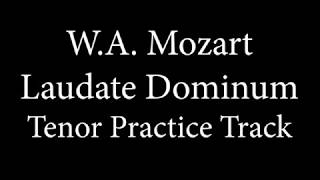 Tenor Demo  Laudate Domimum  Mozart [upl. by Rinum]