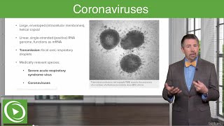 Severe Acute Respiratory Syndrome SARS and COVID19 – Coronaviruses  Lecturio [upl. by Attikram]