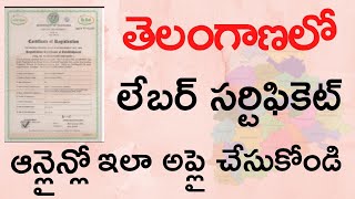 Labour Certificate Apply Online in Telangana State  How to Apply Labour Certificate in Telugu [upl. by Benoite]