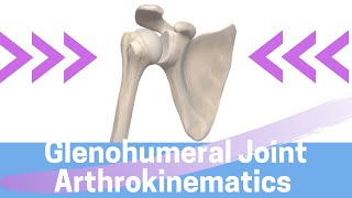 Shoulder Kinesiology Glenohumeral Joint Movement [upl. by Farris]