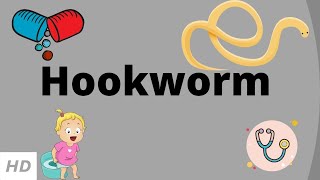 Hookworm Causes Signs and Symptoms Diagnosis and Treatment [upl. by Leirda]