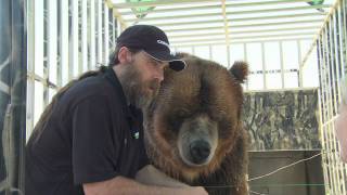 Celebrity Grizzly Brody The Bear Says Thanks To Nutramax Laboratories [upl. by Adali]