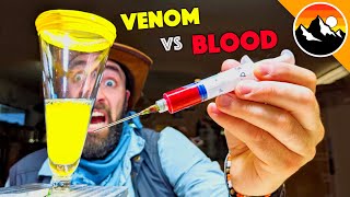 VIPER VENOM vs HUMAN BLOOD [upl. by Cote]