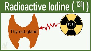 Radioactive Iodine Iodine131 [upl. by Eliathas]