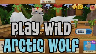 How to Get an Arctic Wolf in Play Wild [upl. by Outlaw]