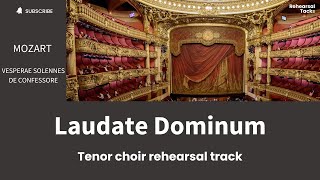 Mozart Laudate Dominum Tenor chorus [upl. by Aisetra368]