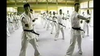 Kyokushin Karate  Best Technique King of Technic Part III [upl. by Caresa]