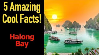 5 Fascinating Facts about Halong Bay [upl. by Arno]