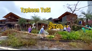 Halong Vietnam After Typhoon Yagi [upl. by Norud]