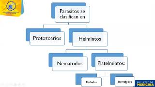 Clase 45 Generalidades de parásitos [upl. by Sileas313]