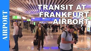 TRANSIT WALK AT FRANKFURT Airport FRA Terminal 1  Connection Flight Transfer Arriving amp Departing [upl. by Nosdrahcir]