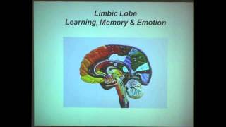 The Neuroscience of Learning and Memory [upl. by Emmons]