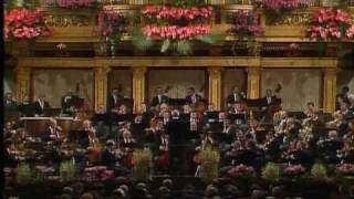 Johann Strauss BAUERNPOLKA [upl. by Marou]